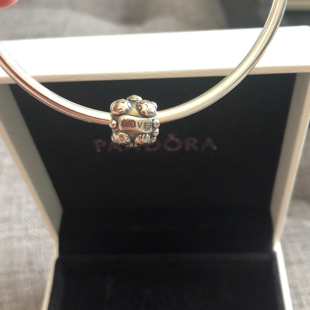 NWOT Family Love Pandora Charm